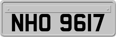 NHO9617