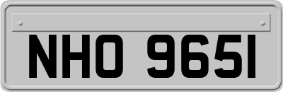 NHO9651