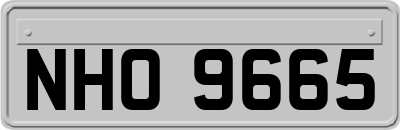NHO9665