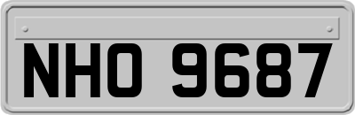 NHO9687