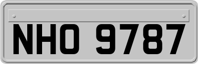 NHO9787