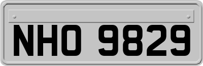 NHO9829