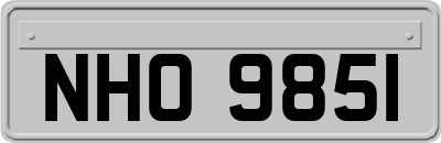 NHO9851
