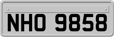 NHO9858