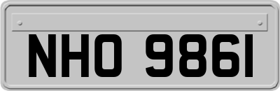 NHO9861
