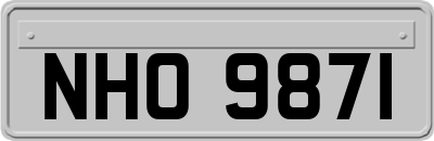 NHO9871