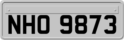NHO9873