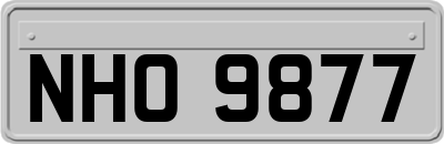 NHO9877