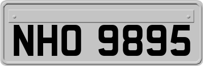 NHO9895