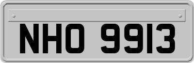 NHO9913
