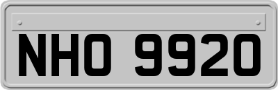 NHO9920