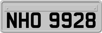 NHO9928
