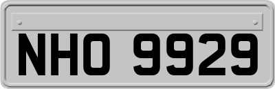 NHO9929