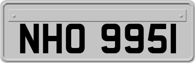 NHO9951