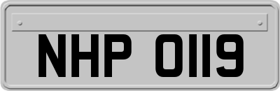NHP0119