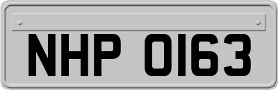 NHP0163
