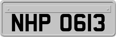 NHP0613
