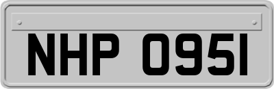 NHP0951
