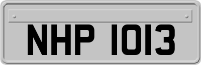 NHP1013