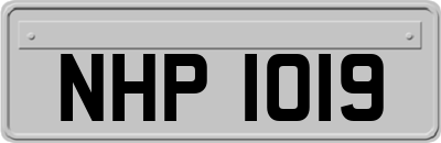 NHP1019