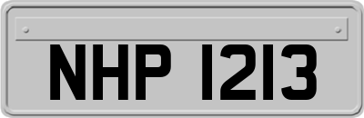 NHP1213