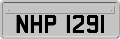 NHP1291
