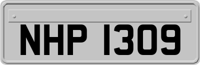 NHP1309