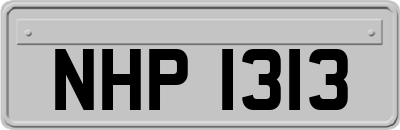 NHP1313