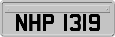 NHP1319