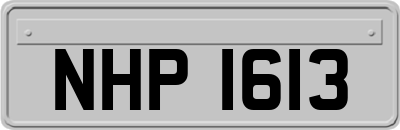 NHP1613