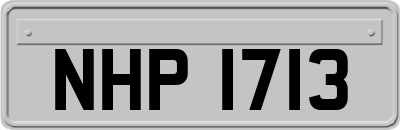 NHP1713