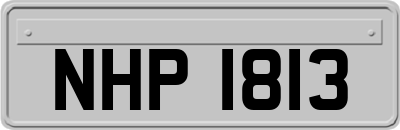 NHP1813