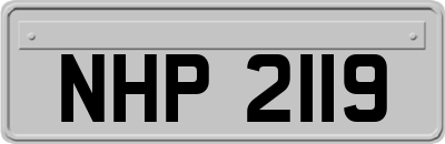 NHP2119