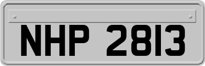 NHP2813