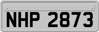 NHP2873