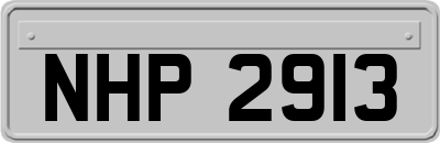 NHP2913