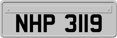 NHP3119