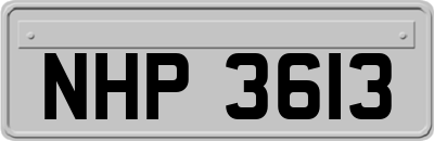NHP3613