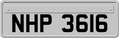 NHP3616