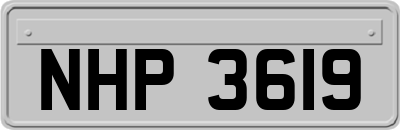 NHP3619