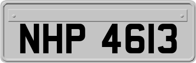 NHP4613