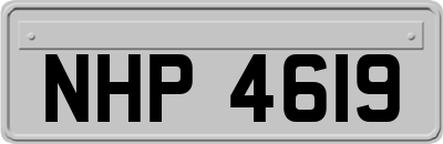 NHP4619