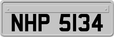 NHP5134