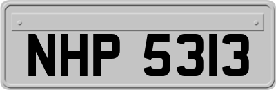 NHP5313