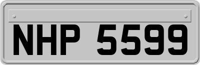 NHP5599