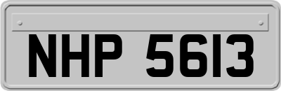 NHP5613