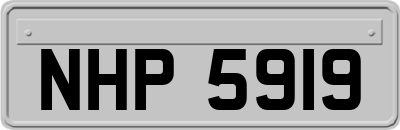 NHP5919