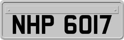 NHP6017
