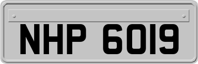 NHP6019
