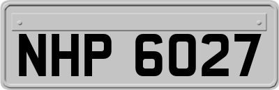 NHP6027